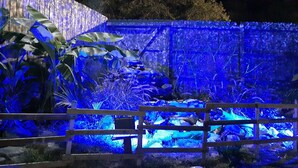 A garden with a wooden fence, various plants, and a water feature illuminated by blue lighting.