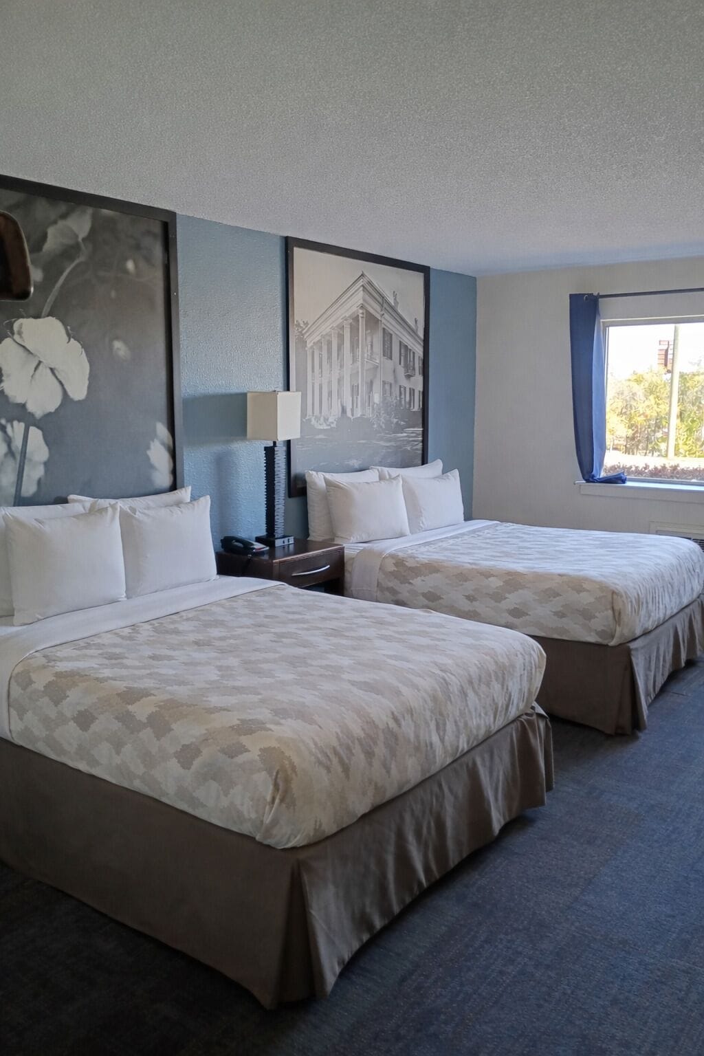 Ropa de cama de alta calidad, escritorio y cortinas blackout 