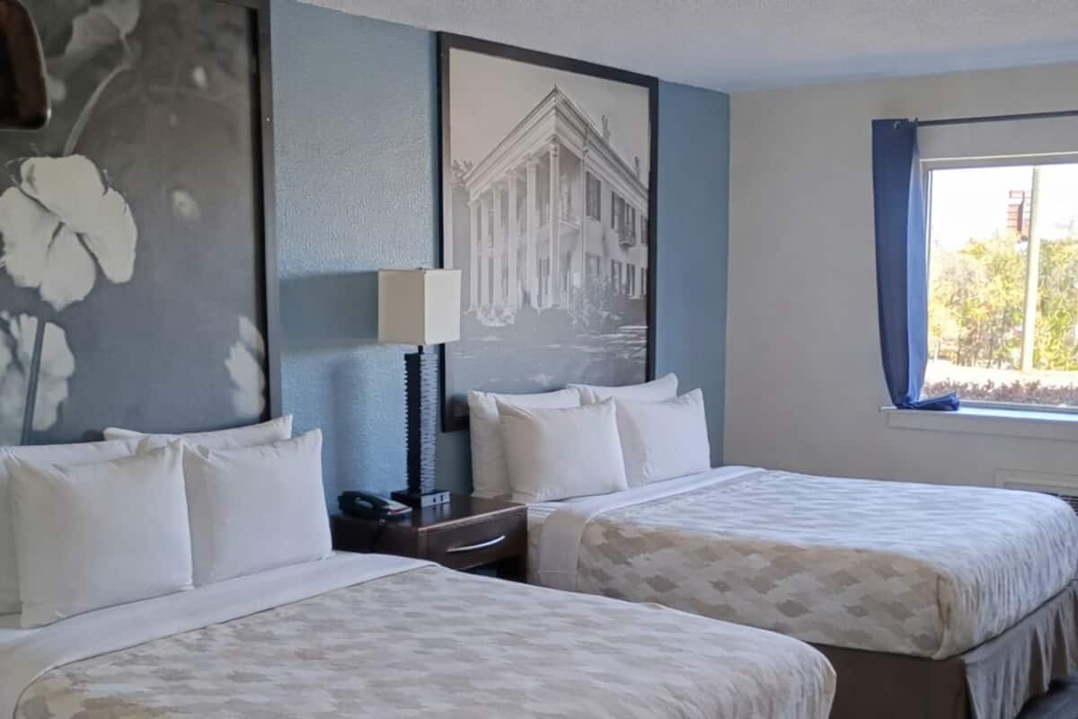 Ropa de cama de alta calidad, escritorio y cortinas blackout