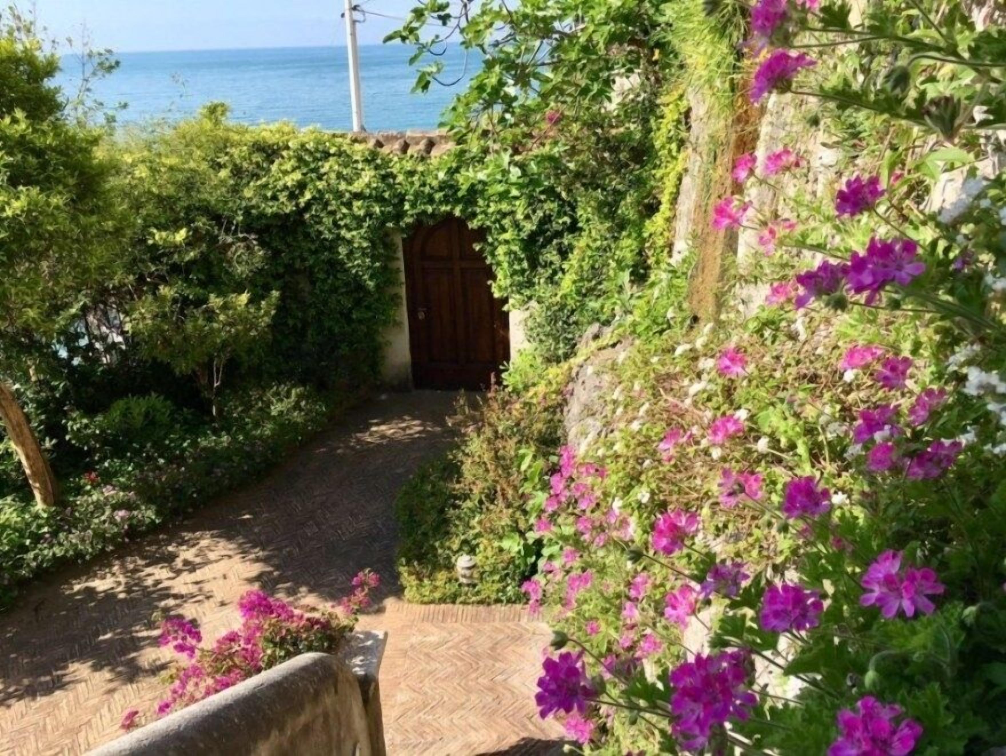 Een tuinpad dat leidt naar een houten deur, omgeven door weelderig groen en paarse bloemen.