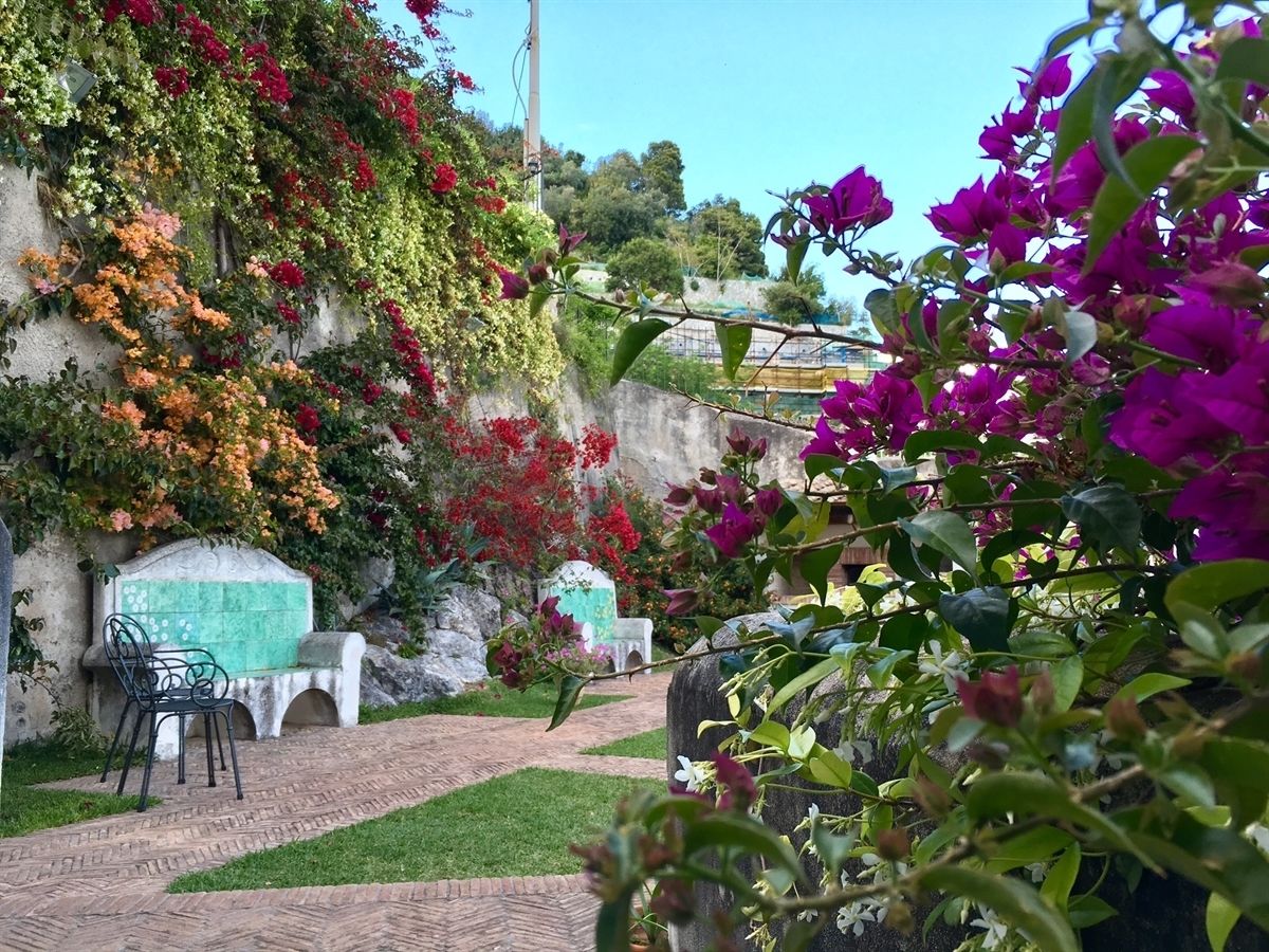 A garden with a pathway, a bench, and a wall covered with flowering plants.