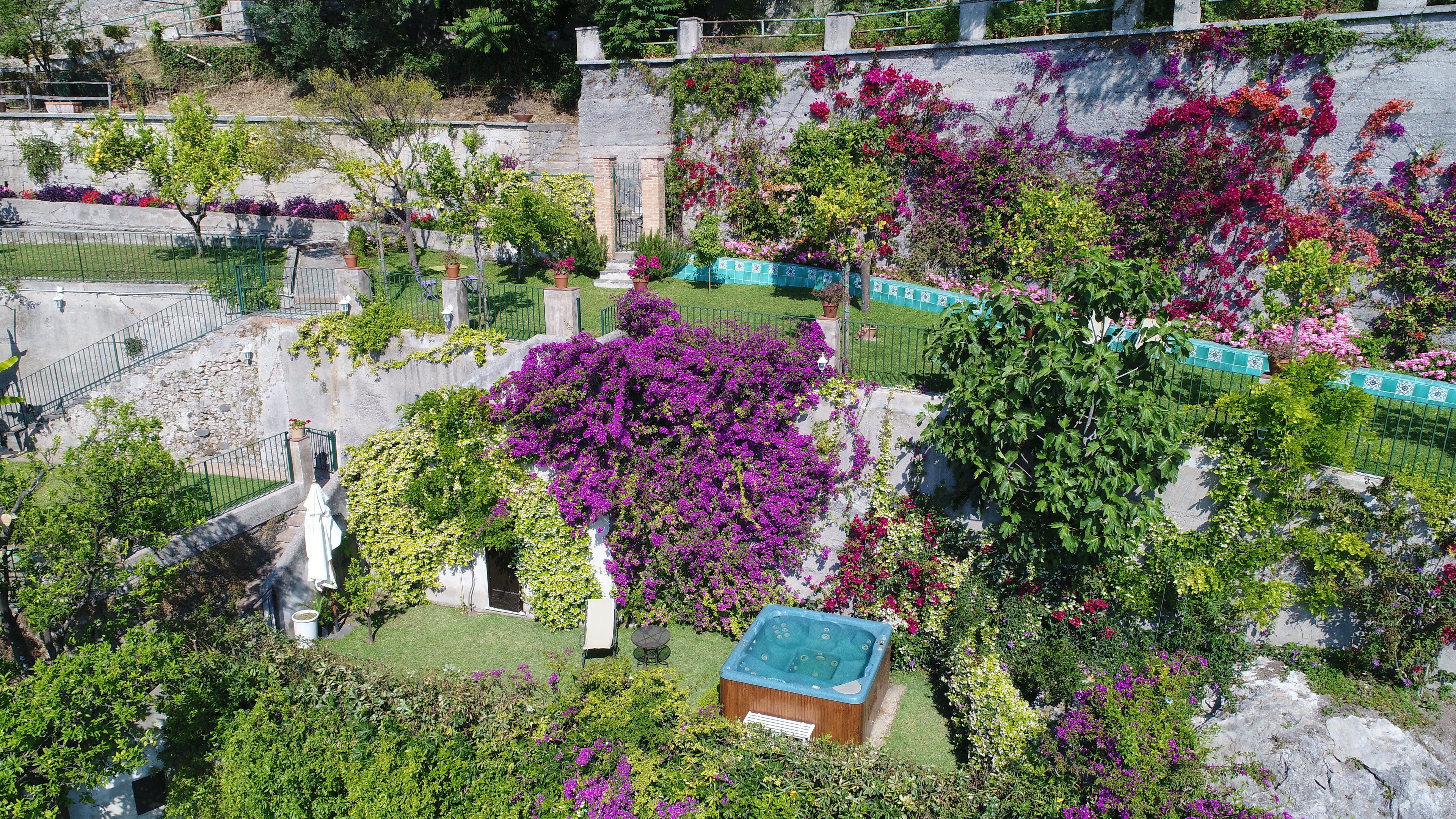 A garden with various plants and flowers, a hot tub, and a small building.