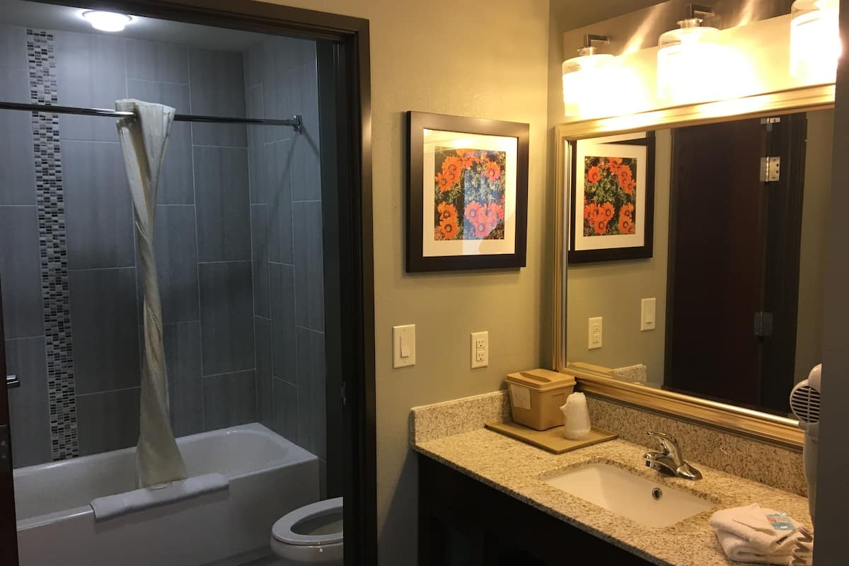 combined shower/bathtub, hair dryer, towels