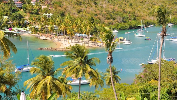Una zona costera con un puerto deportivo, palmeras y una playa.