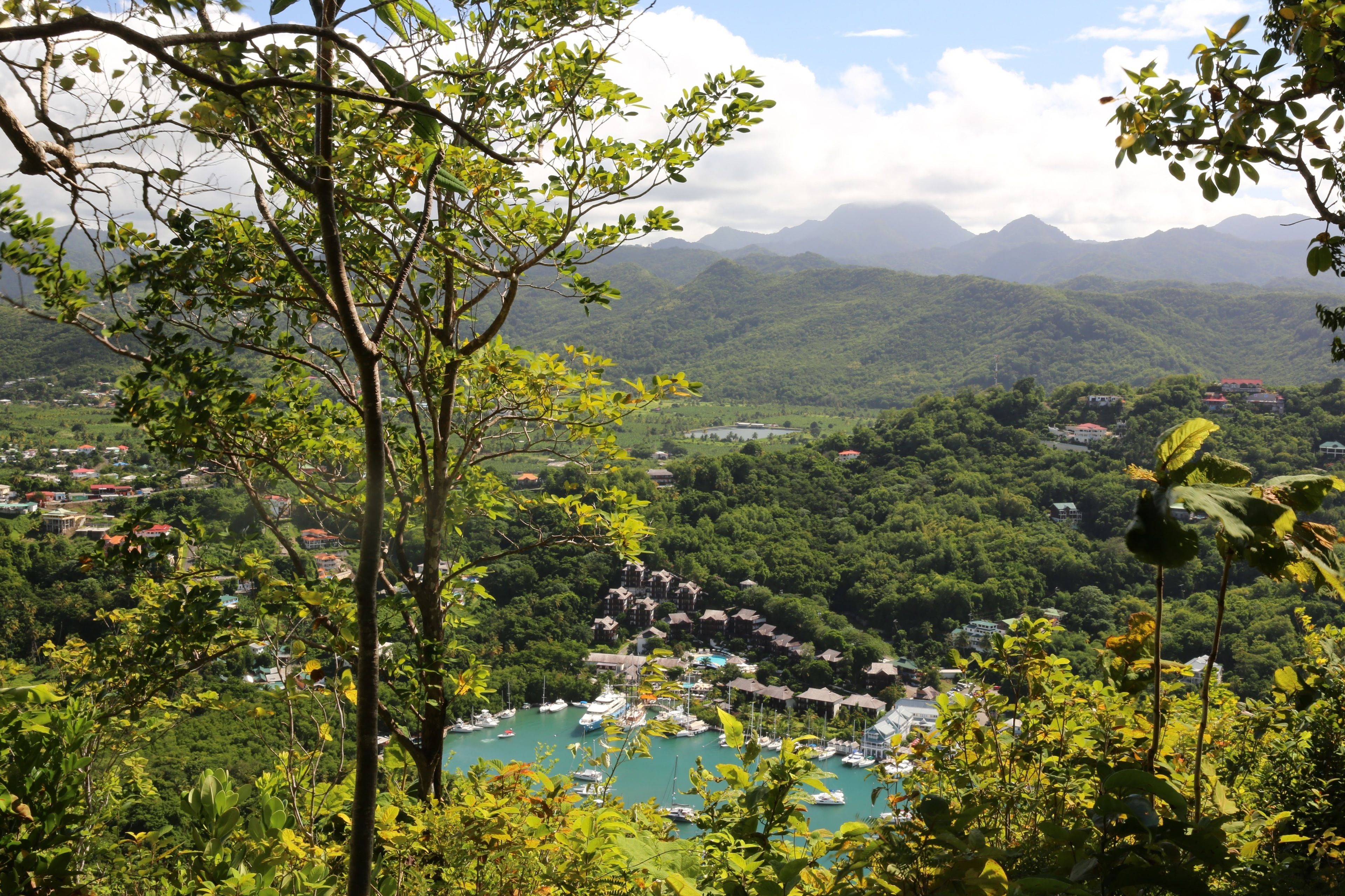 A coastal town with a marina, surrounded by lush greenery and mountains in the background.