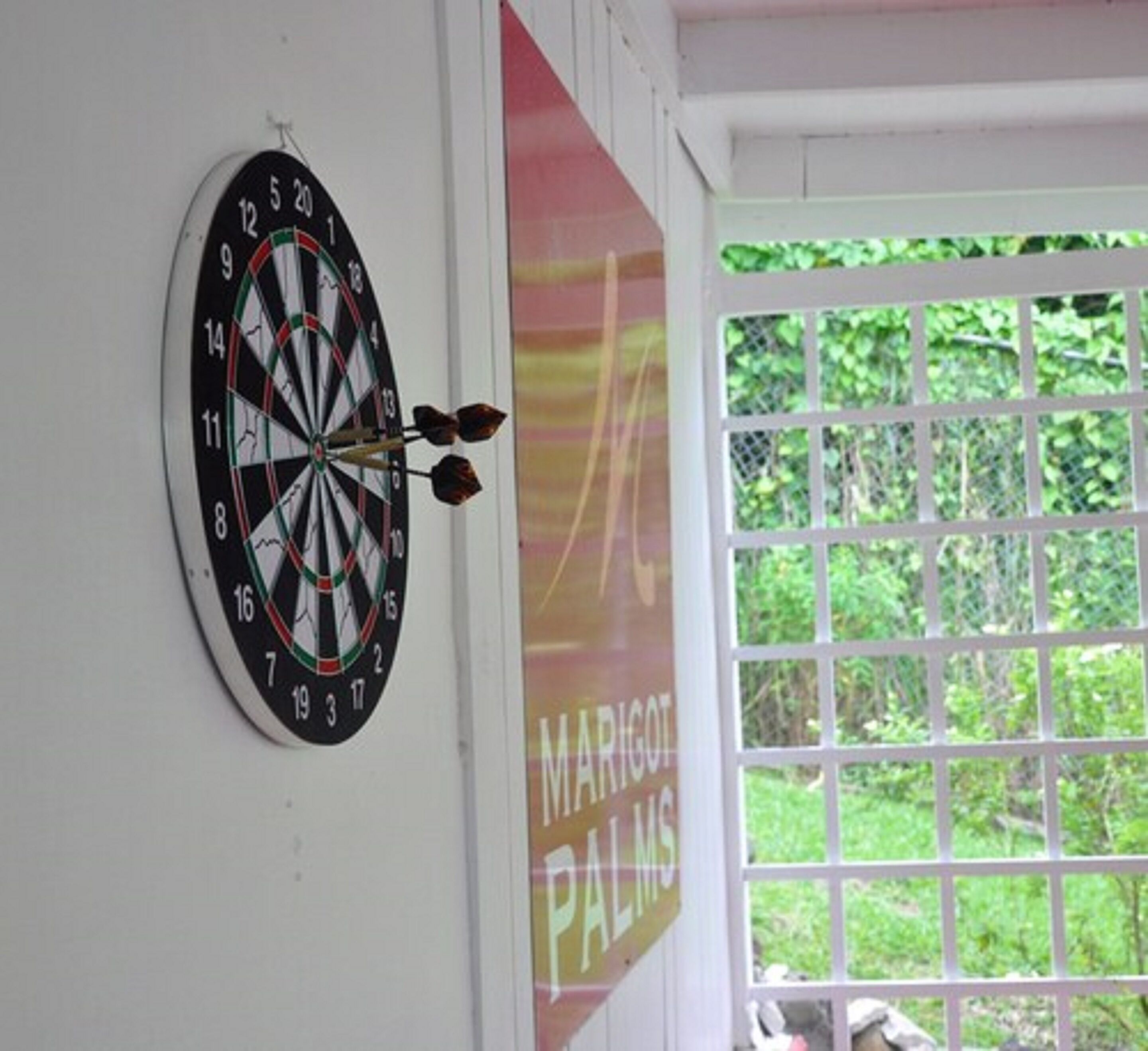 A dartboard mounted on a wall with a window in the background.