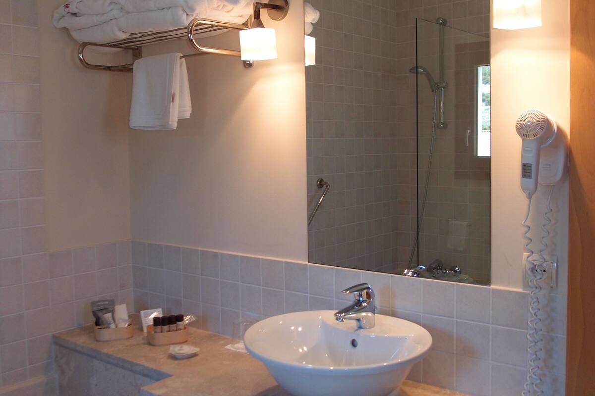 free toiletries, hair dryer, bidet, towels