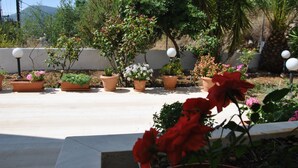 A garden with various potted plants and flowers, including red roses, arranged on a patio area. - Filoxenia Hotel & Apartments (Kefalonia)
