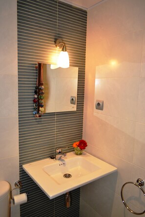 A bathroom with a white sink, a mirror, and a towel ring.