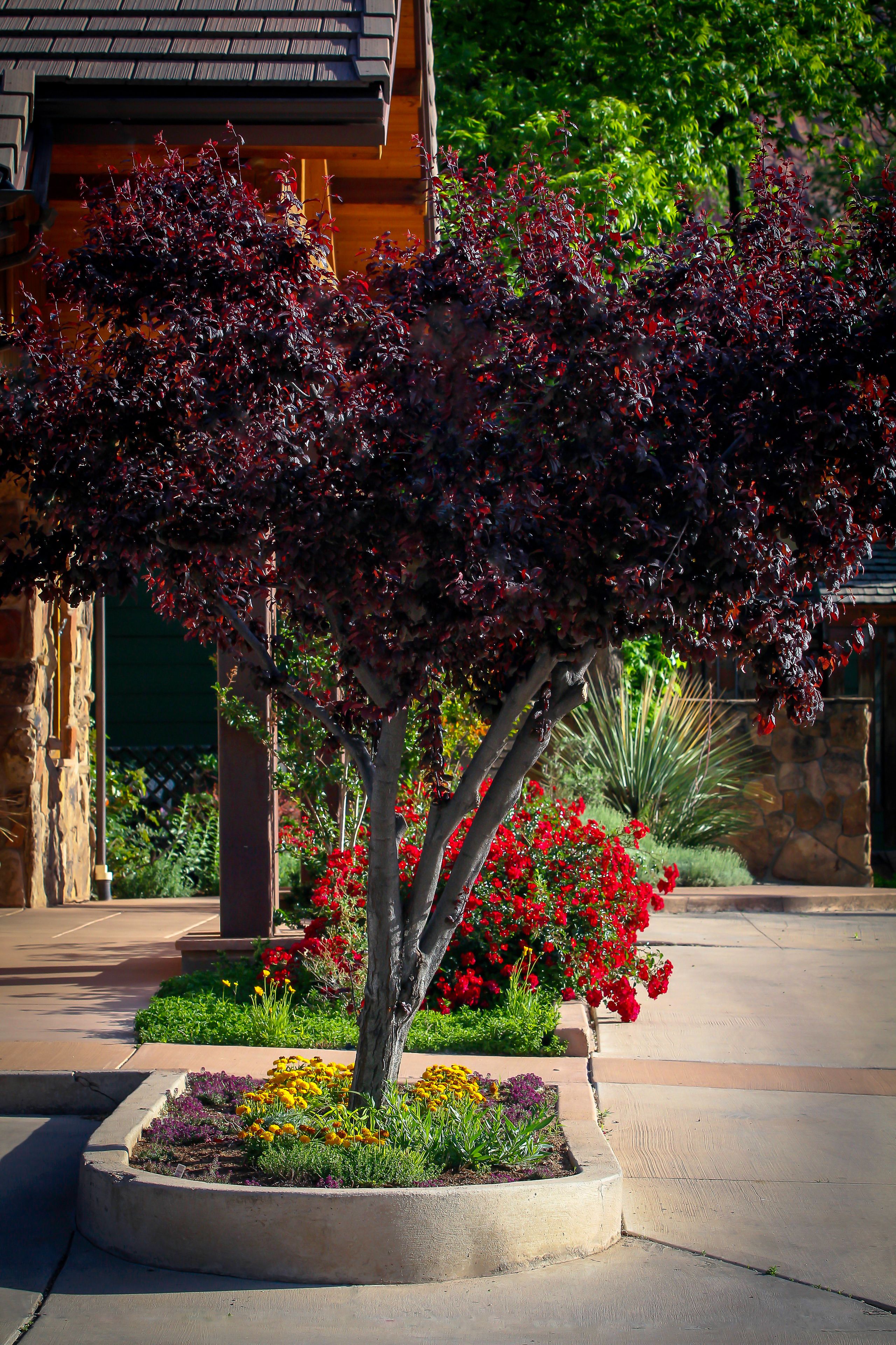 Photo - Flanigan`s Resort and Spa