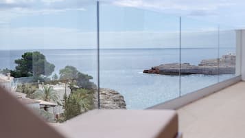 Suite estudio panorámica | Terraza o patio