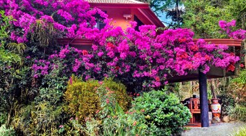 Un edificio tradicional con techo rojo y flores de buganvilla rosadas.