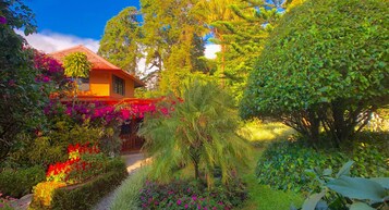 Una casa rodeada de exuberante vegetación y flores coloridas.