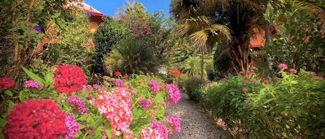 A garden pathway surrounded by lush greenery and flowering plants.