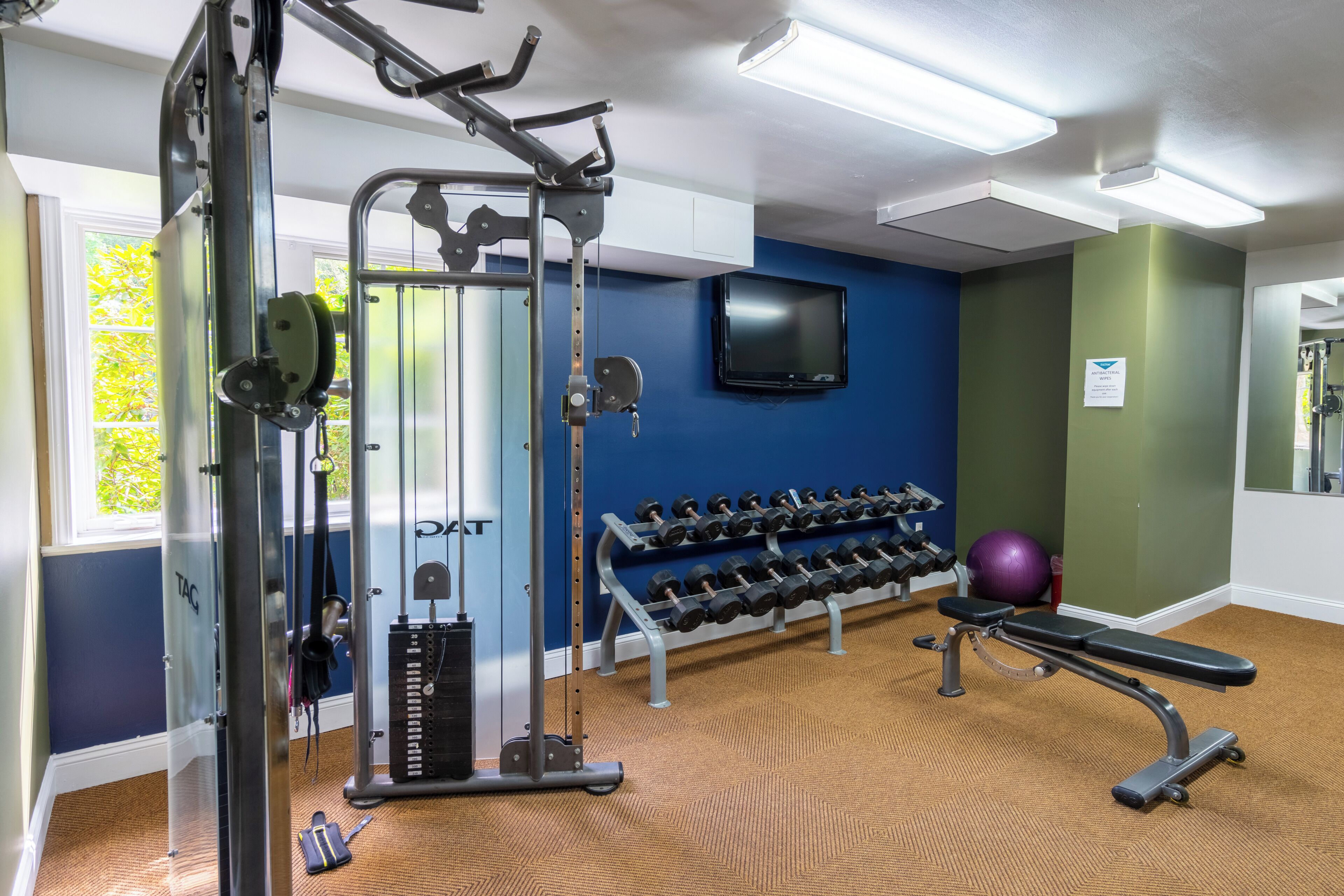 A gym with exercise equipment, dumbbells, a stationary bike, and a wall-mounted TV.