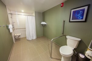 A bathroom with a toilet, a shower, a grab bar, a towel rack, and a framed picture on the wall.