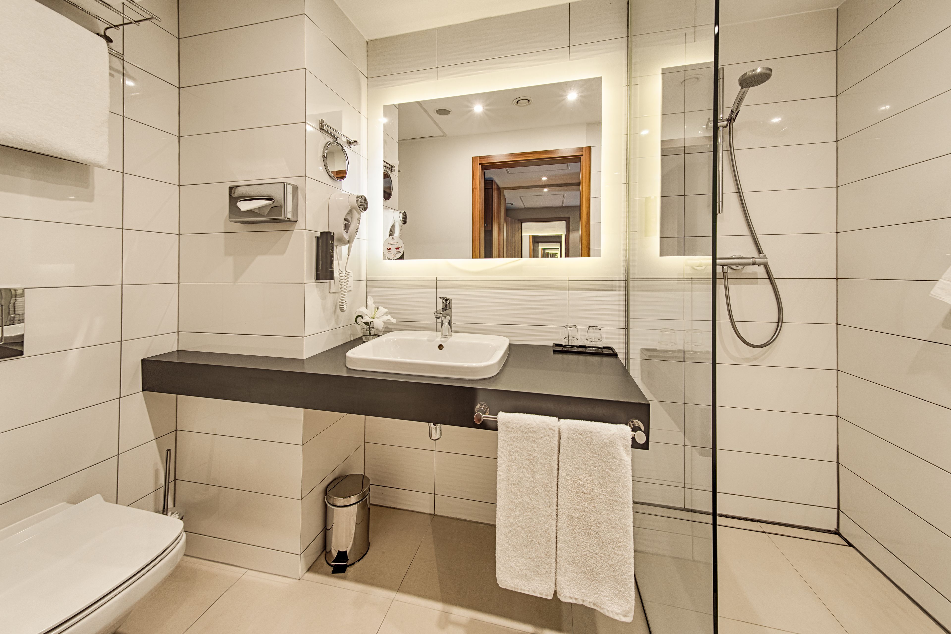 standard double or twin room | bathroom | shower, free toiletries, hair dryer, towels