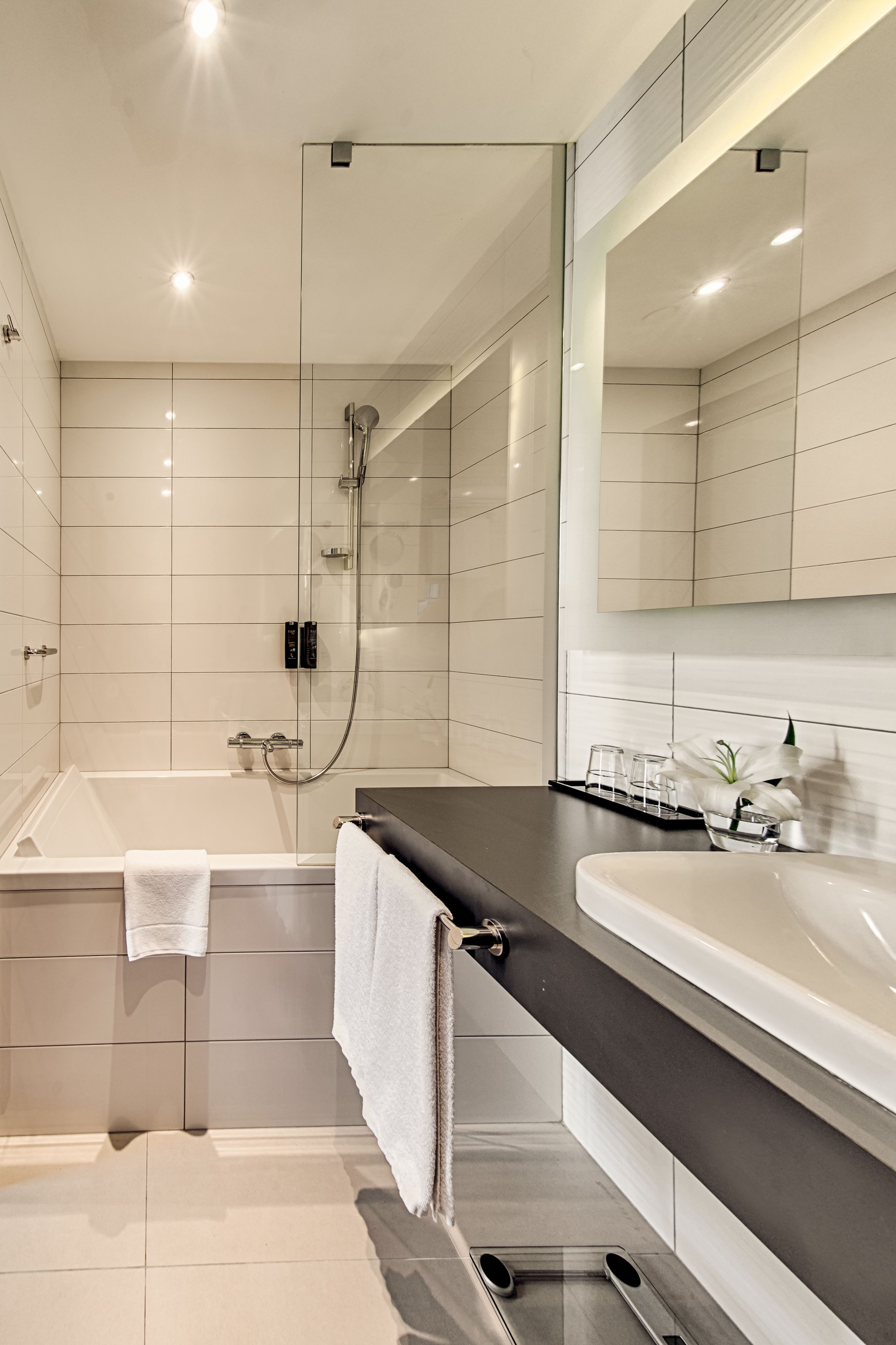 shower, free toiletries, hair dryer, towels