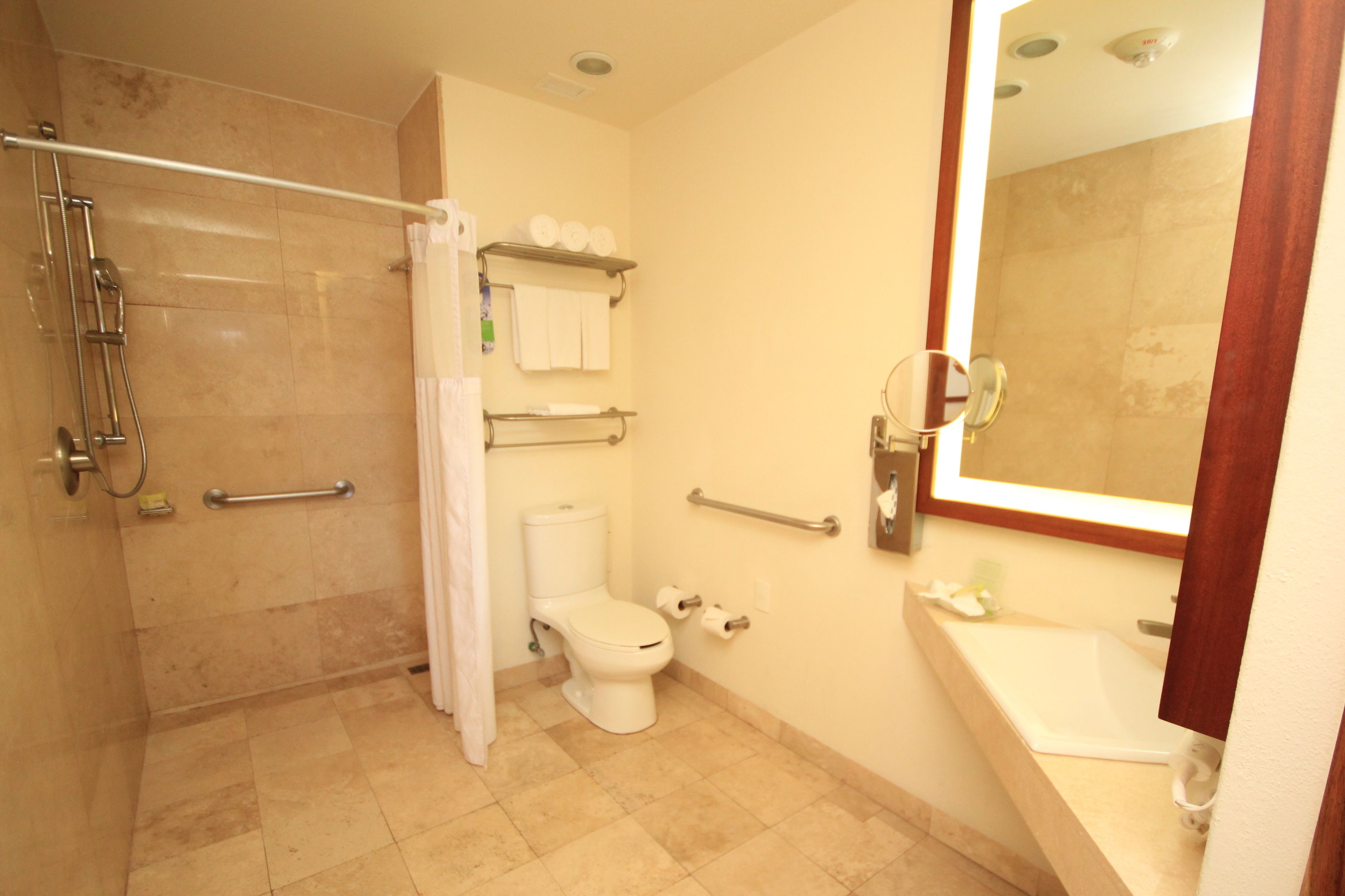 standard room, 1 king bed, accessible | bathroom | shower, free toiletries, towels