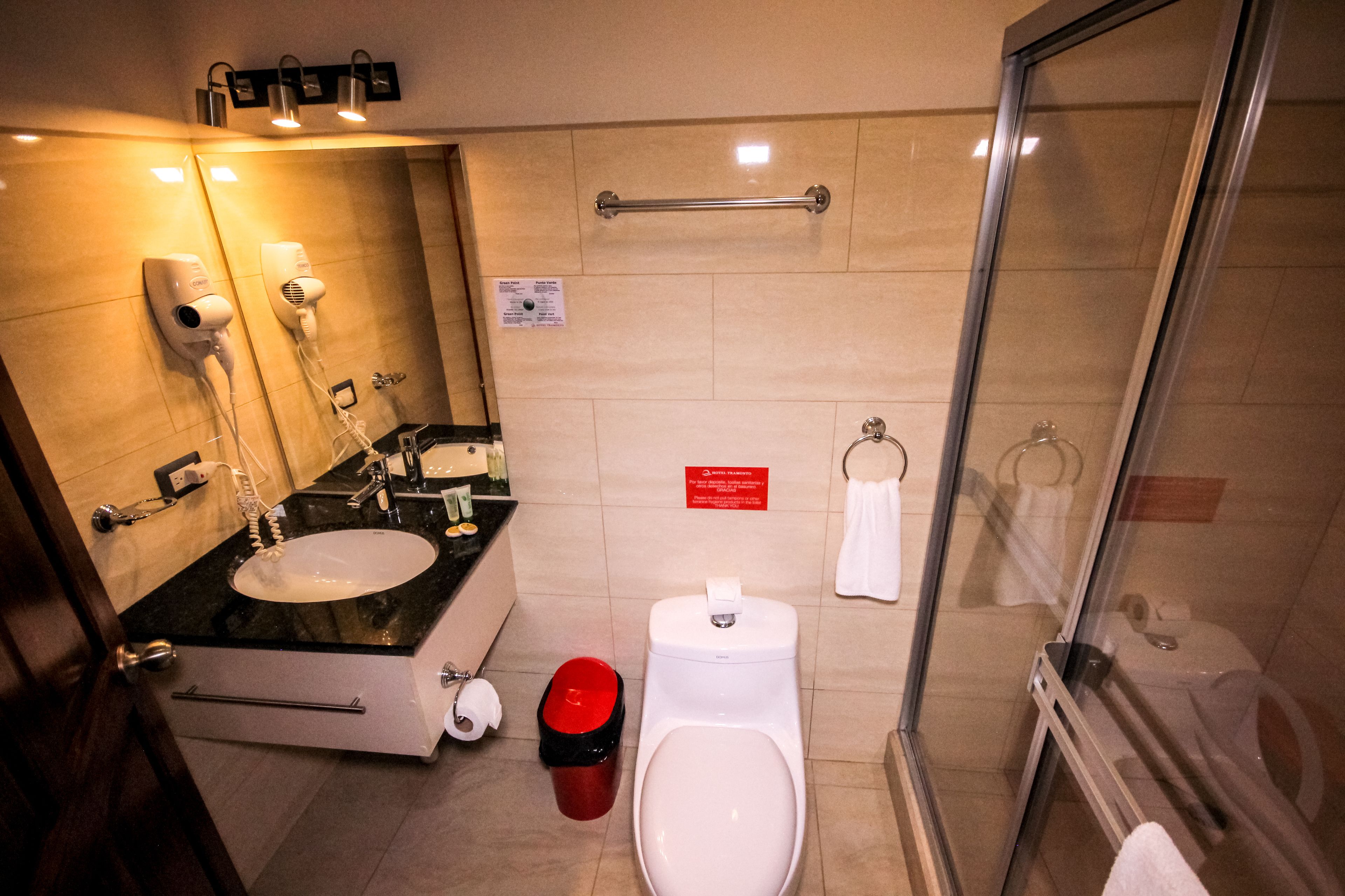 shower, free toiletries, hair dryer, towels