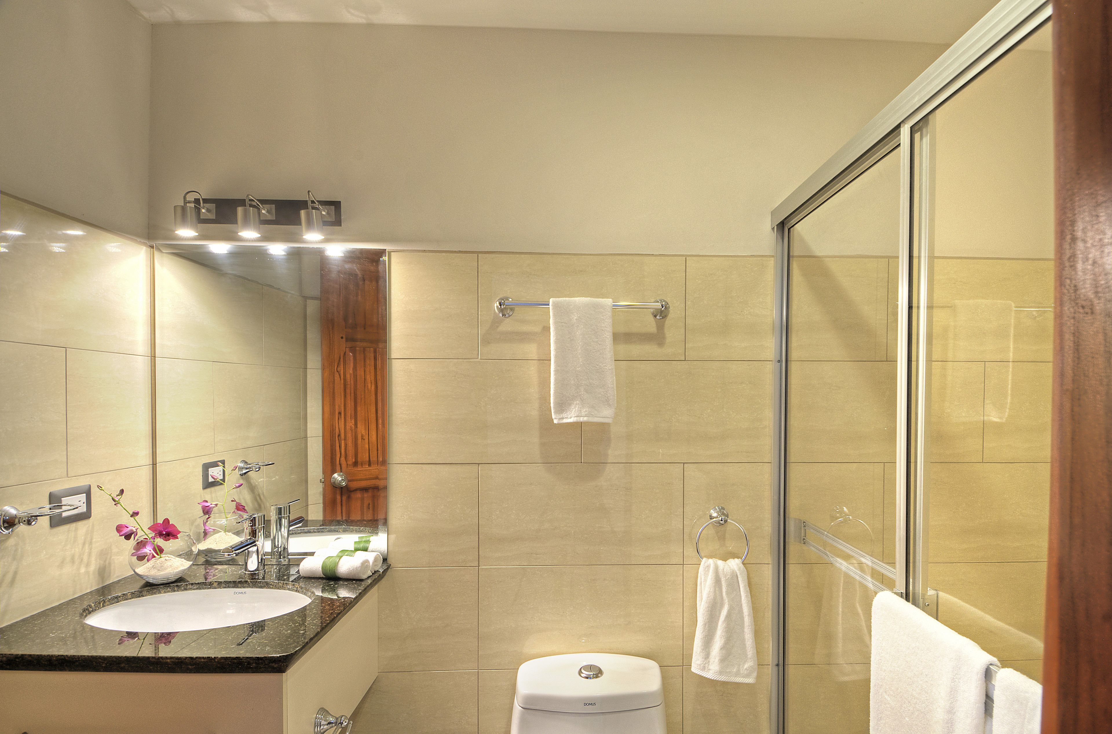 shower, free toiletries, hair dryer, towels