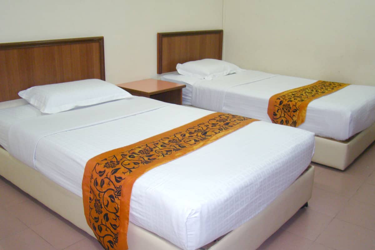 Chambre avec lits jumeaux | Bureau, fer et planche Ă repasser, Wi-Fi gratuit