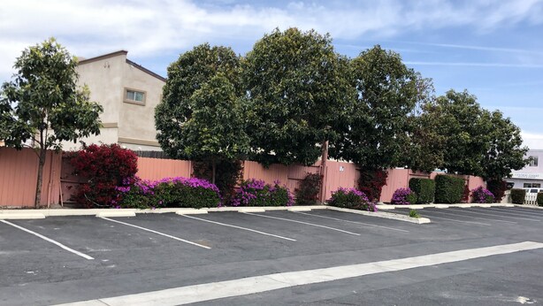A parking lot with several empty spaces, surrounded by a fence and lush greenery. - Pacific Inn (Grover Beach)