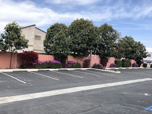 A parking lot with several empty spaces, surrounded by a fence and lush greenery.