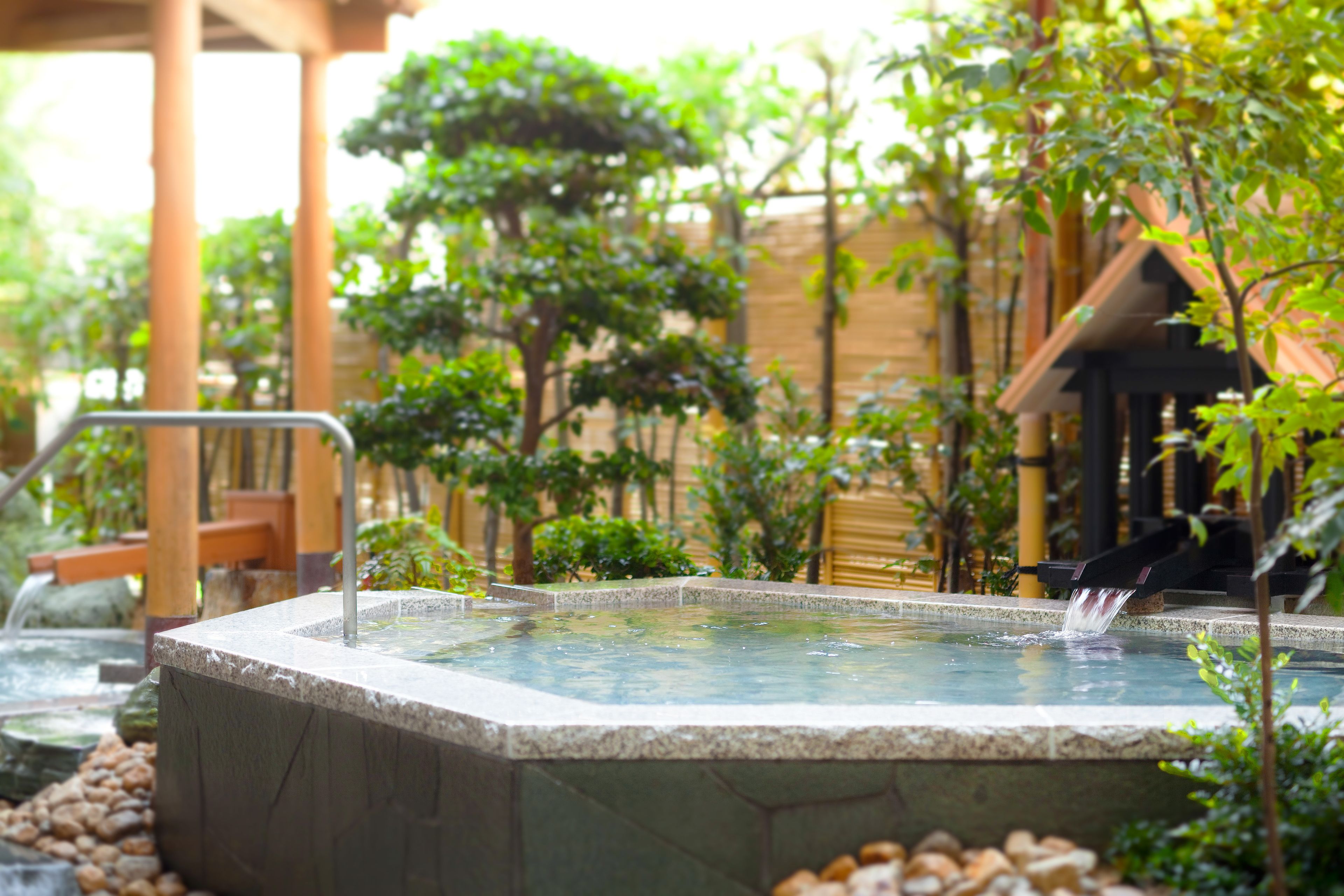 A hot spring bath surrounded by greenery, with a wooden structure and a stone pathway.