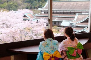 Vistas al campo desde el alojamiento