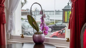 Ảnh chưa phân loại, 2 trong số 170 ảnh, nút