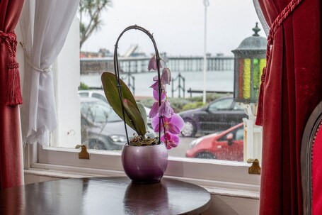 The Trevone - Image 42