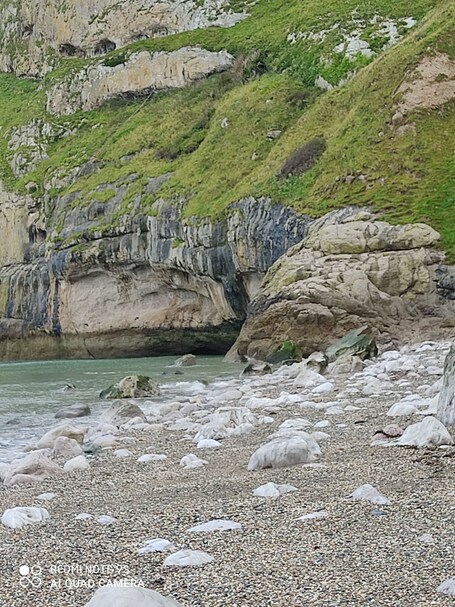 The Trevone - Image 52