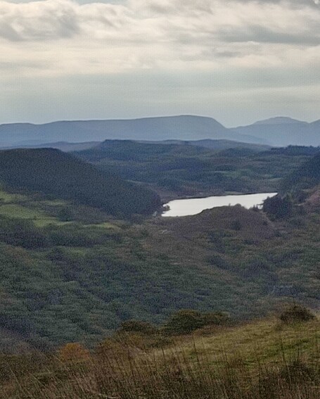 The Trevone - Image 57
