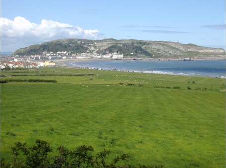 The Trevone - Image 59