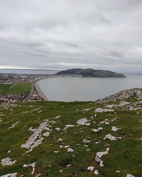 The Trevone - Image 54
