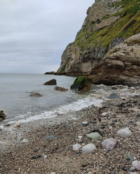 The Trevone - Image 3