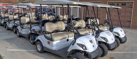 A row of golf carts parked in a lot.