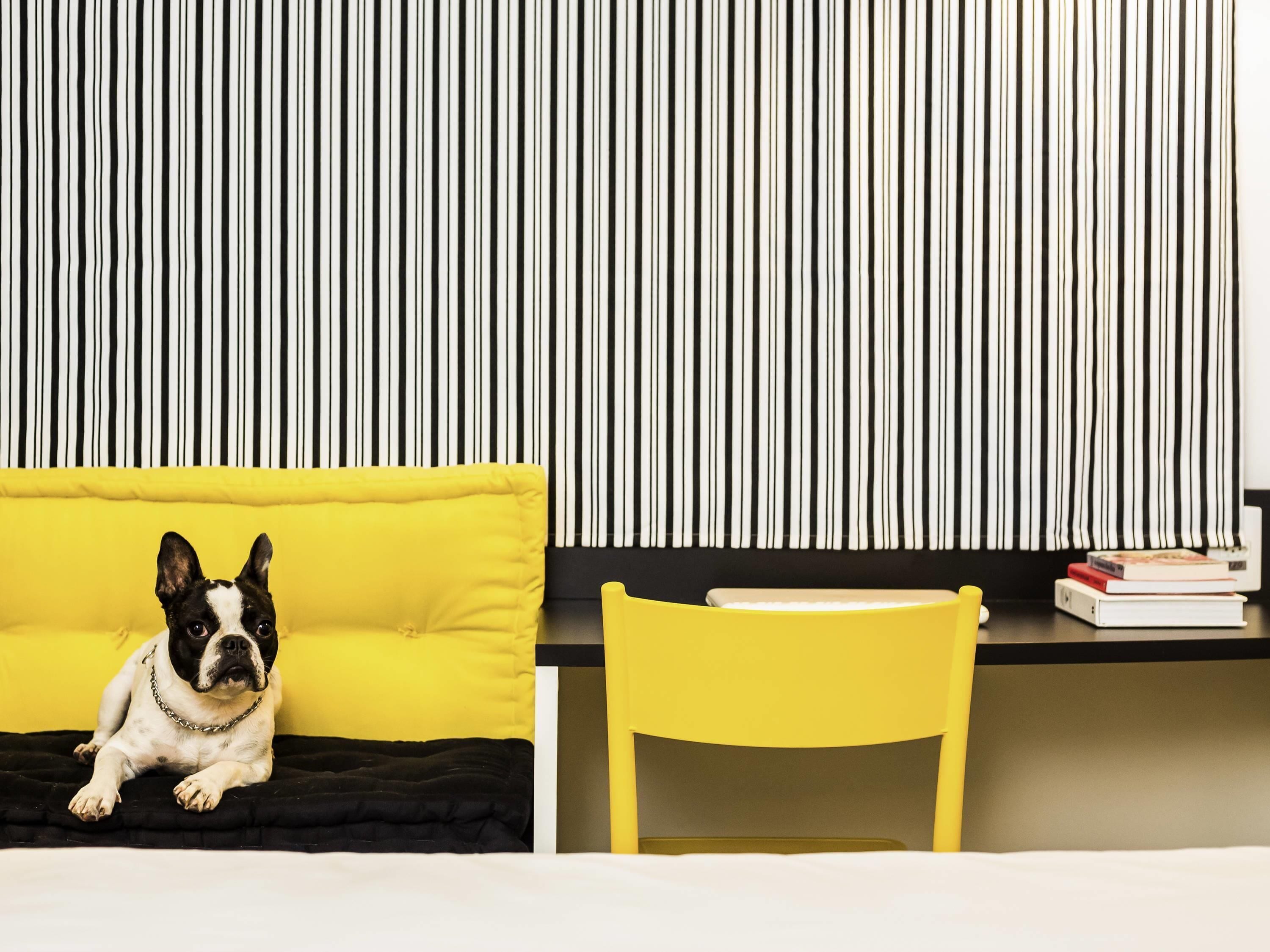 Quarto com cama, uma cadeira amarela, parede listrada em preto e branco e um cão sobre um travesseiro amarelo.