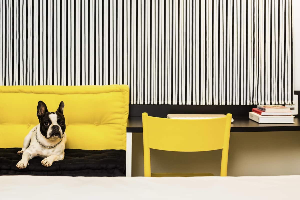 Quarto com cama, uma cadeira amarela, parede listrada em preto e branco e um cão sobre um travesseiro amarelo.