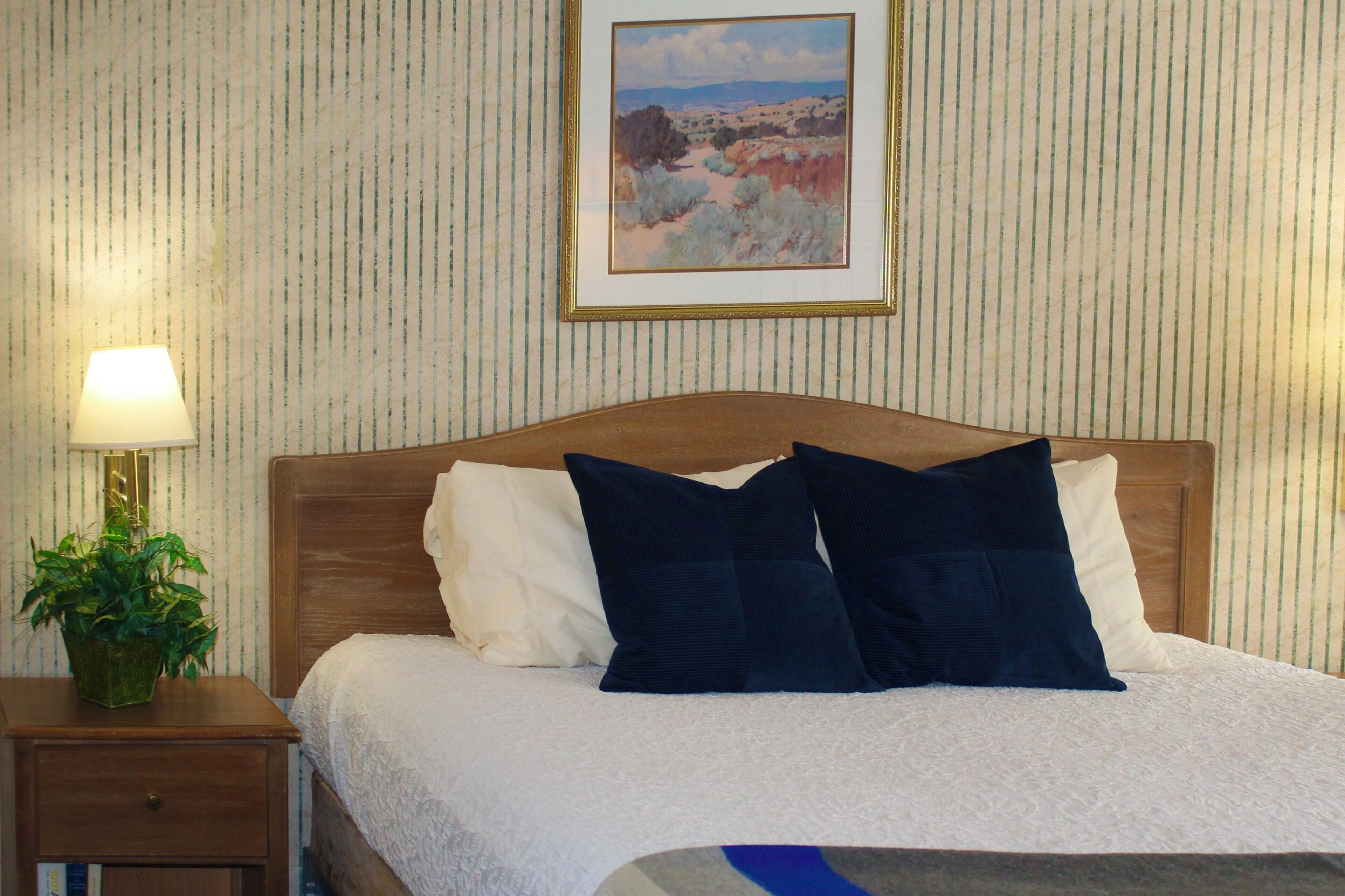 A neatly made bed with white and dark blue pillows, a bedside lamp, and a framed landscape painting on the wall.