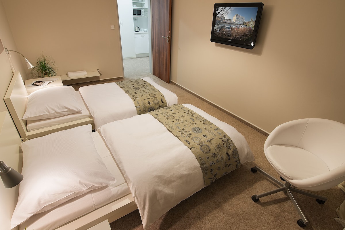 Apartment, 2 Bedrooms | Hypo-allergenic bedding available, in-room safe, desk, cribs (free)