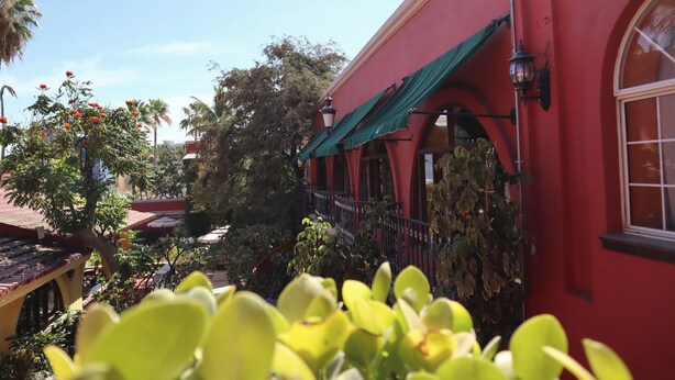 A red building with a green awning, surrounded by greenery and palm trees. - Collection O Casa Bella Hotel Boutique, Cabo San Lucas (Cabo San Lucas)