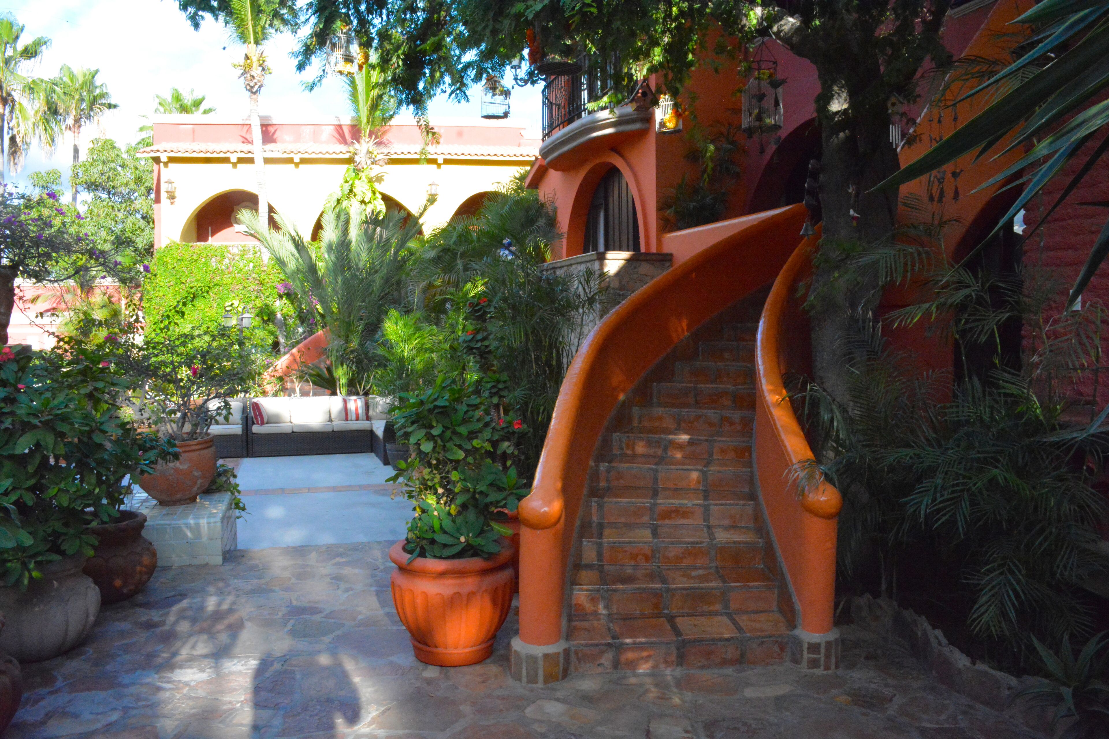 Foto - Collection O Casa Bella Hotel Boutique, Cabo San Lucas