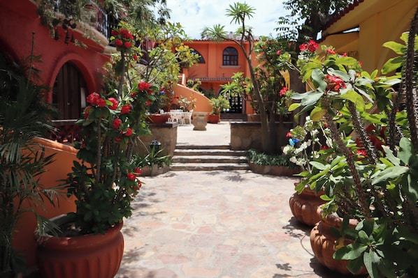 Jardin