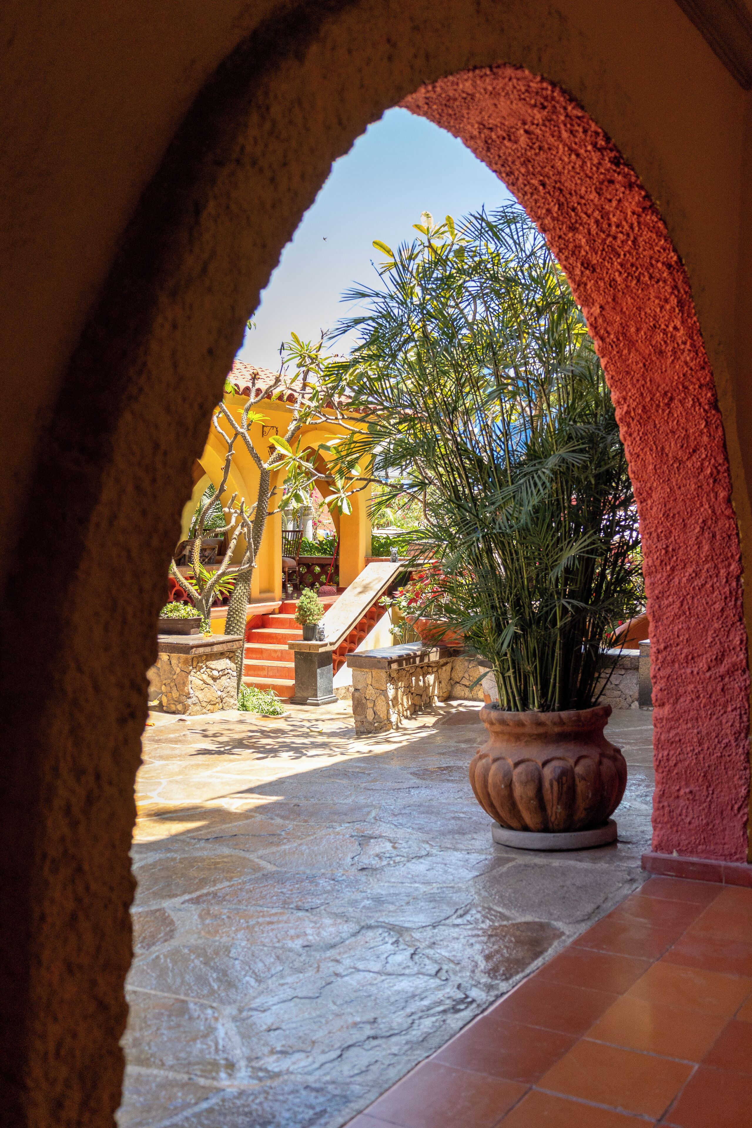 Foto - Collection O Casa Bella Hotel Boutique, Cabo San Lucas