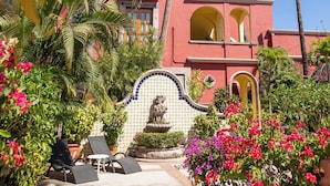 Garden - Collection O Casa Bella Hotel Boutique, Cabo San Lucas (Cabo San Lucas)