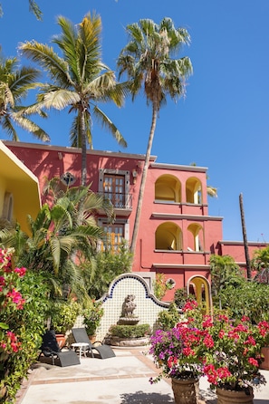 Garden - Collection O Casa Bella Hotel Boutique, Cabo San Lucas (Cabo San Lucas)