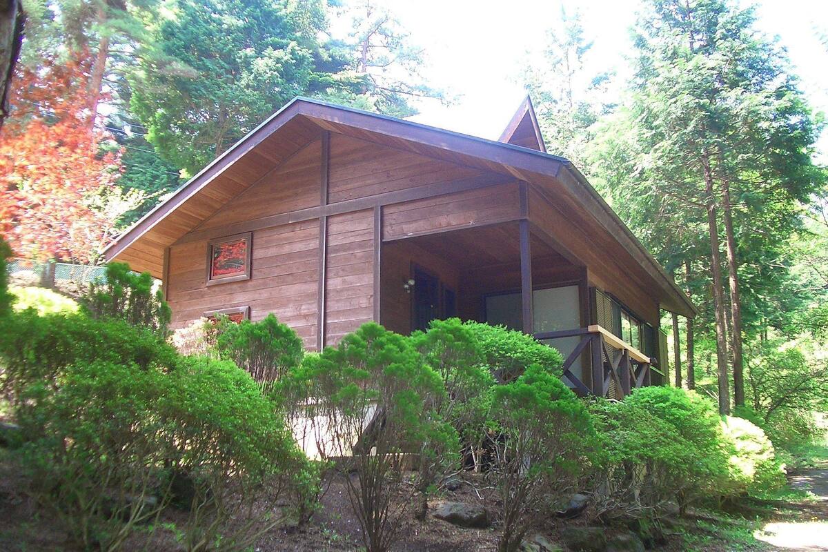 Une cabane en bois, dotée d’un toit en pente, entourée d’une végétation luxuriante et d’arbres.