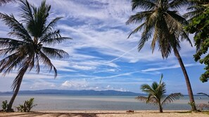 Trên bãi biển 